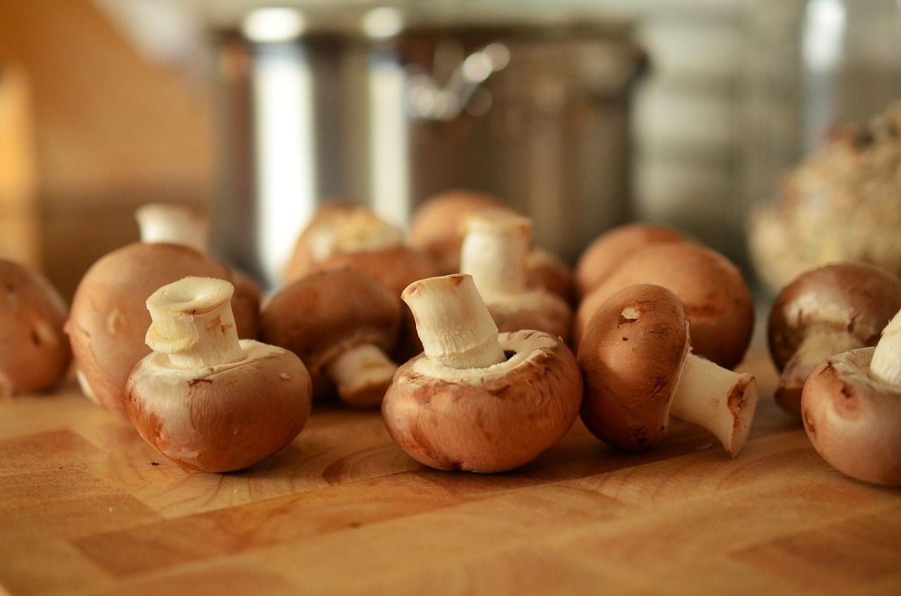 Do czego używa się suszonych grzybów?